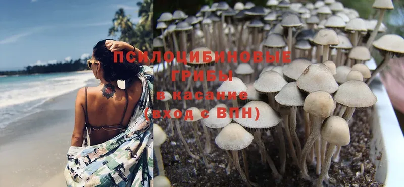 цена наркотик  Омск  Галлюциногенные грибы Cubensis 